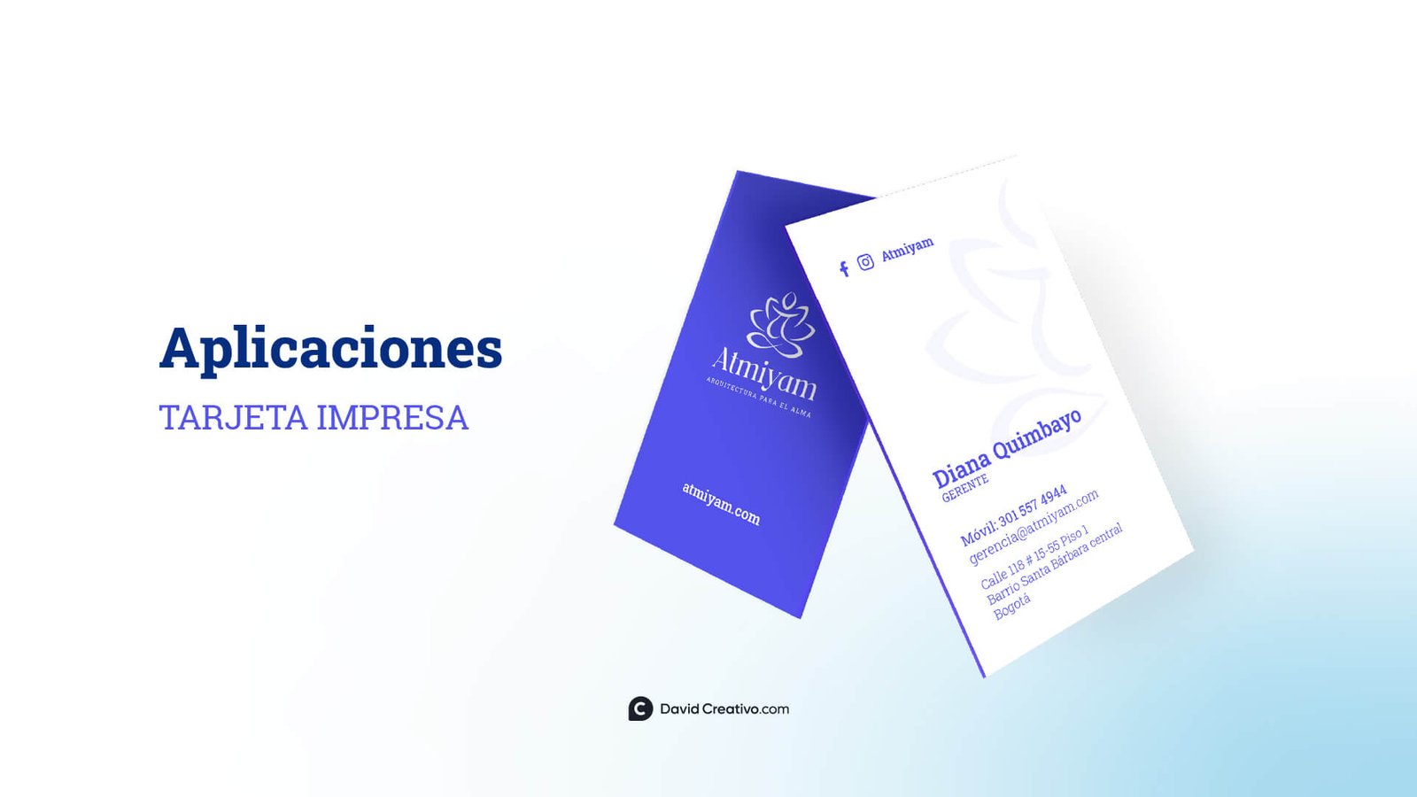 David Creativo | Diseñador Gráfico de Logos, Identidad Visual y Paginas Web Diseñador de Tarjetas en Miami