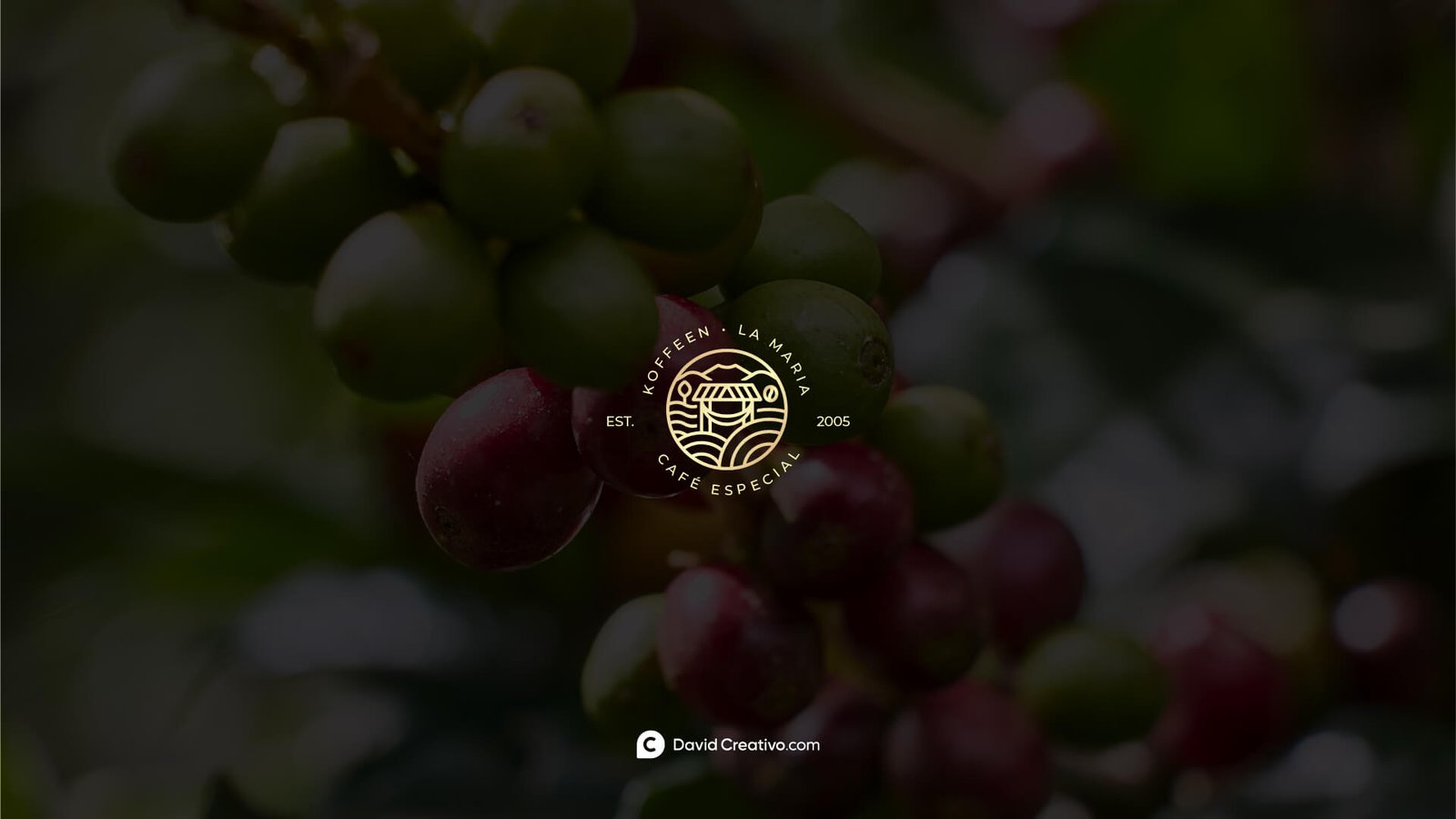 Diseño de Identidad Visual marca de Cafe